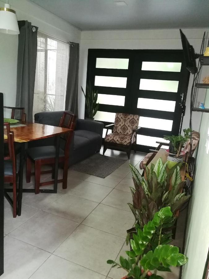 Tamandua -Home Feeling- La Fortuna Extérieur photo