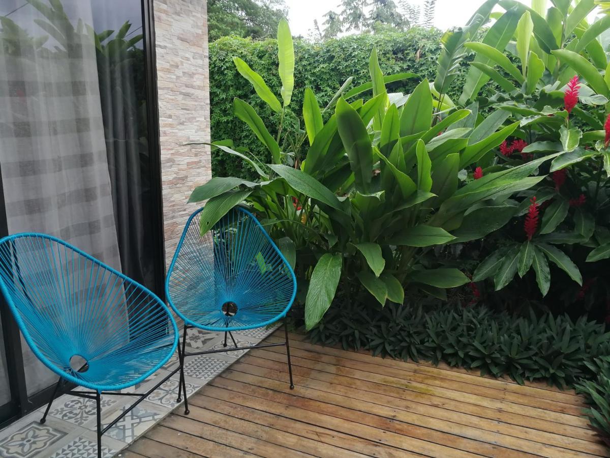 Tamandua -Home Feeling- La Fortuna Extérieur photo